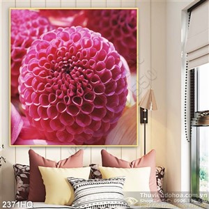 Tranh hoa Thược Dược trang trí treo tường