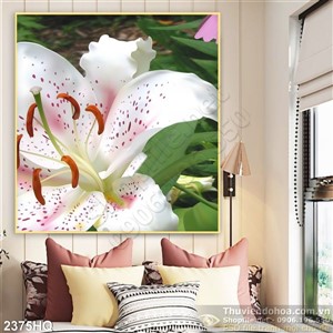 Tranh hoa Ly trang trí nghệ thuật