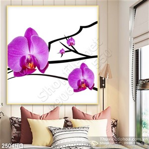 Tranh hoa Lan treo tường hiện đại