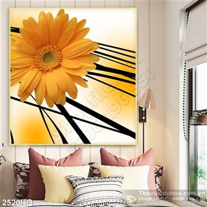 Tranh hoa đồng tiền nghệ thuật độc đáo