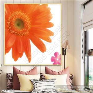 Tranh hoa đồng tiền hiện đại