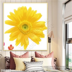 Tranh hoa đồng tiền vàng treo tường