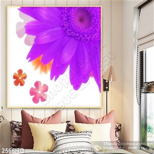 Tranh hoa đồng tiền trang trí đẹp