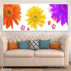 Tranh hoa đông tiền màu tím đẹp