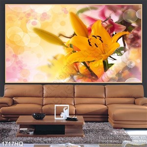 Tranh hoa Ly nhiếp ảnh đẹp