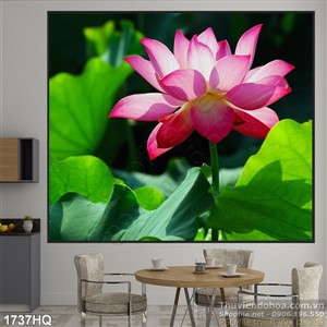 Tranh hoa sen phong thủy dán tường
