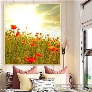 Tranh cánh đồng hoa colico đẹp