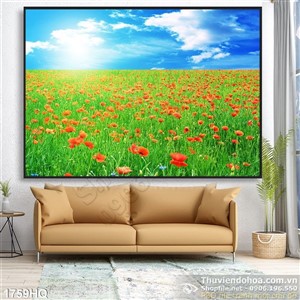 Tranh cánh đồng colico đẹp