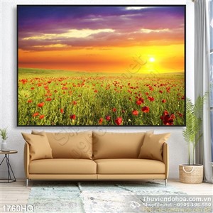 Tranh cánh đồng hoa và hoàng hôn