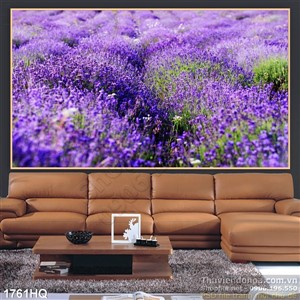 Tranh hoa oải hương trang trí treo tường