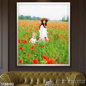 Tranh cánh đồng hoa colico đẹp