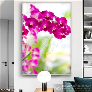 Tranh hoa lan trang trí tường
