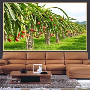 Tranh hoa lá và thanh long