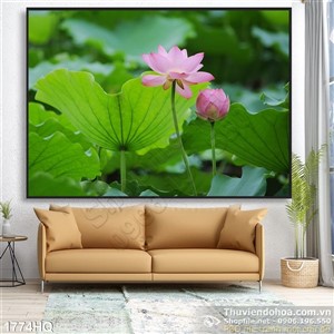 Tranh hoa sen trang trí phòng khách