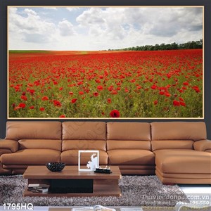 Tranh cánh đồng hoa colico đẹp