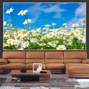 Tranh cánh đồng hoa cúc đẹp