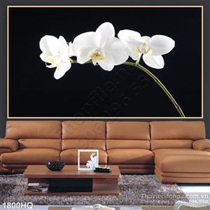Tranh hoa lan trang trí phòng ngủ