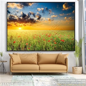 Tranh hoa Colico đẹp