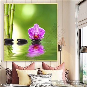 Tranh hoa lan Spa đẹp độc đáo