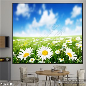 Tranh cánh đồng hoa Cúc đẹp