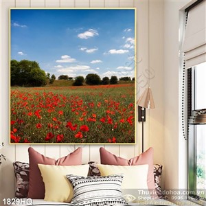 Tranh cánh đồng hoa đẹp