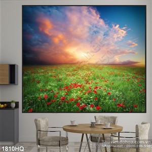 Tranh hoa tulip và hoàng hôn