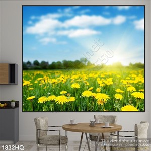 Tranh hoa Cúc vàng đẹp