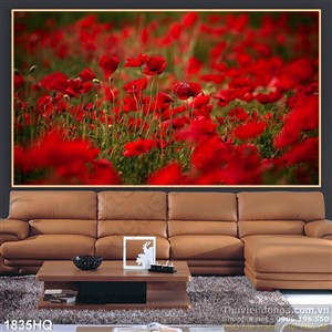 Tranh hoa Mỹ Nhân đẹp