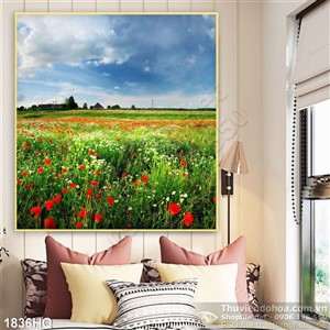 Tranh hoa Mỹ Nhân đẹp