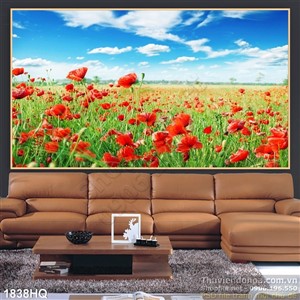 Tranh cánh đồng hoa Mỹ Nhân