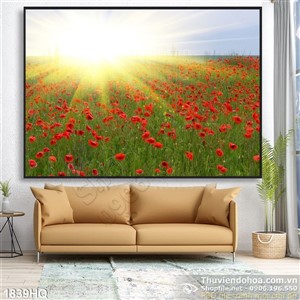 Tranh hoa Mỹ Nhân và hoàng hôn