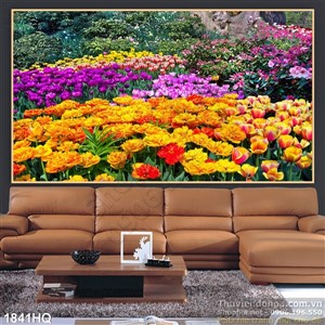 Tranh hoa yulip nghệ thuật