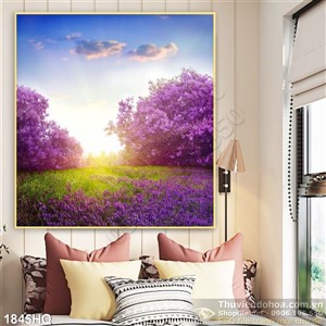 Tranh hoa tím đẹp