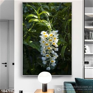 Tranh hoa lan trang trí dán tường đẹp
