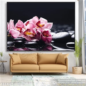Tranh Spa hoa lan đẹp