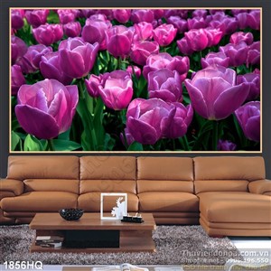 Tranh hoa tulip treo tường phòng khách