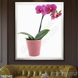 Tranh hoa lan trang trí bếp