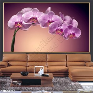 Tranh hoa Lan nhiếp ảnh đẹp