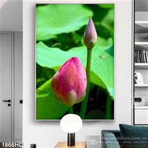 Tranh hoa Sen trang trí tường đẹp