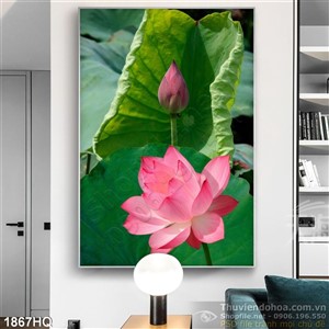 Tranh hoa Sen nghệ thuật đẹp