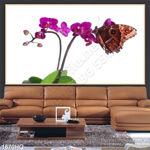 Tranh hoa lan treo tường phòng khách