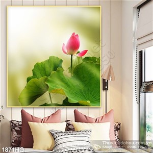Tranh hoa Sen trang trí dán tường đẹp