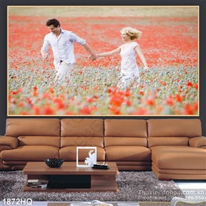Tranh cánh đồng hoa Mỹ Nhân