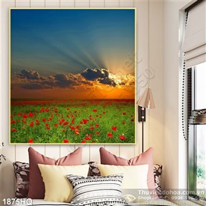 Tranh cánh đồng hoa Mỹ Nhân và hoàng hôn