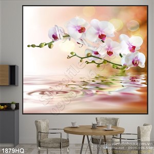 Tranh hoa Lan nhiếp ảnh đẹp