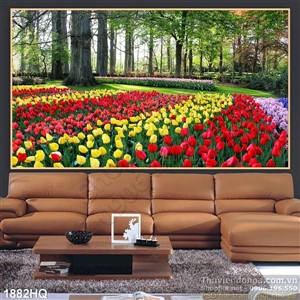 Tranh hoa tulip Châu Âu