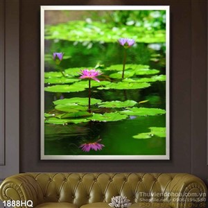 Tranh hoa Sen đẹp độc đáo