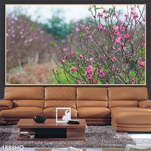 Tranh hoa đào nghệ thuật đẹp