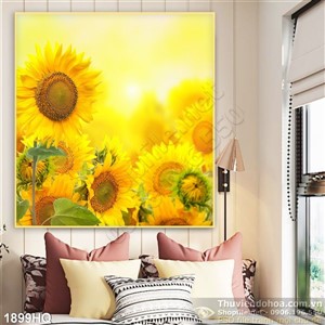 Tranh hoa hướng dương đẹp