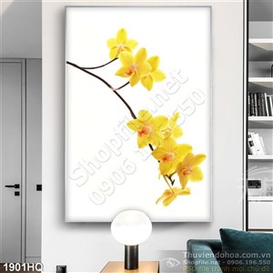 Tranh hoa Lan trang trí treo tường đẹp